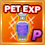 Pet Повышение EXP